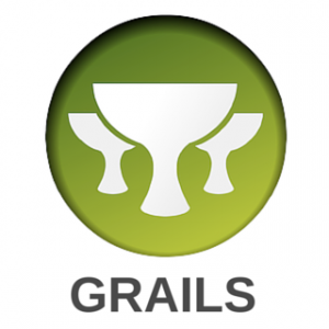 Image Depicting Grails Web Application Framework 