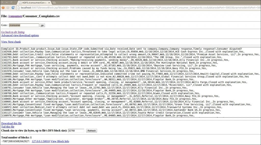 Data Set Details Screen