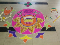 Sankranti Celebrations